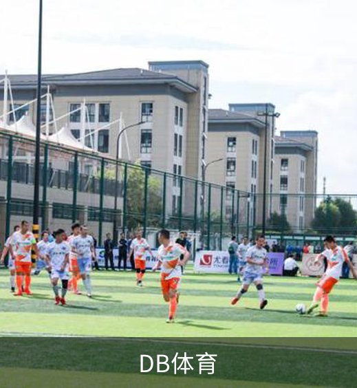 DB体育介绍